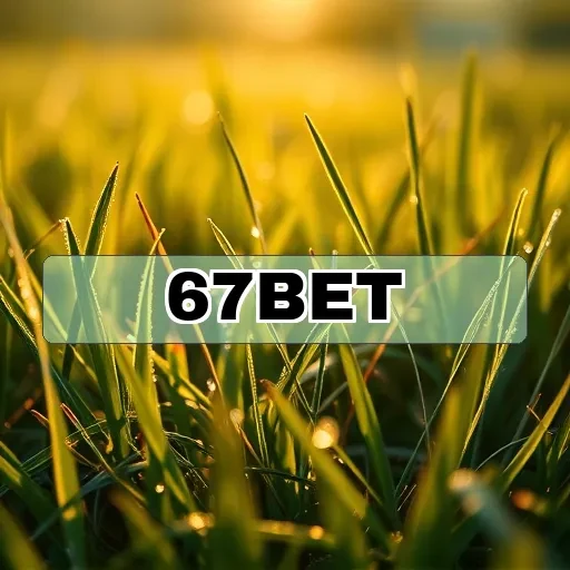 67bet Termos de Uso